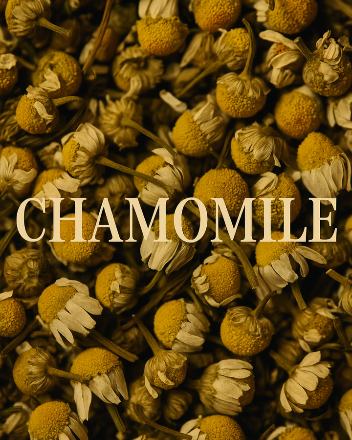 Chamomile